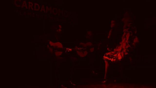 Irene Olvera por alegrías • Tablao Cardamomo • Becas Cardamomo Flamenco смотреть онлайн