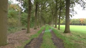 Петарда Кобра 8 -  Очень мощная петарда