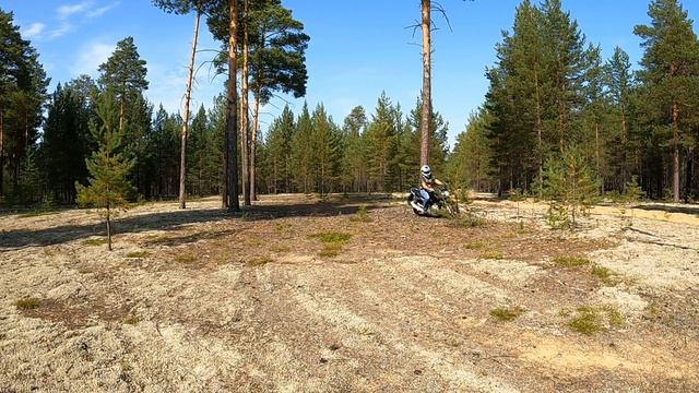 По Поляне на мотоцикле Ямаха Файзер Yamaha FAZER