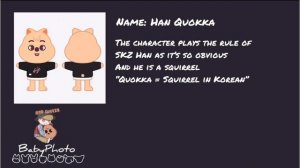 SKZOO helpful guide...