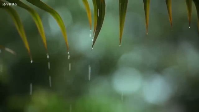 You & Me: Relaxing Piano Music & Soft Rain Sounds For Sleep & Relaxation смотреть онлайн