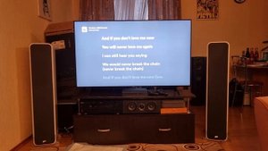Polk Audio Signature S55e