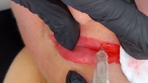 Коррекция татуажа губ, вся процедура и мои советы (Мастер класс по перманентному макияжу)