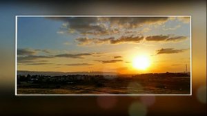 Играй скрипка  Узия Цадок  Тень пальмы