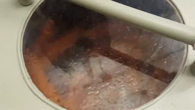 Машина для мойки моркови Спрут 500К