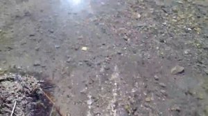 челябинская область сергайды ловля карася уахааа