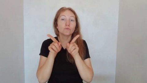 Как ЗАПИСЫВАТЬ жесты и НЕ ЗАБЫВАТЬ#жестовыйязык #глухие #ржя