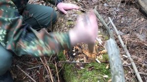 Bushcraft knife BeaverKnife "America " маленький тест)