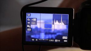 A Look at the JINTU 420-800mm F/8.3 Telephoto Lens