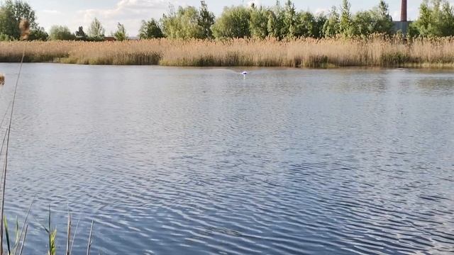 прикормочный кораблик на Воронеж комплектация автопилот +глубиномер Май 2023 смотреть онлайн