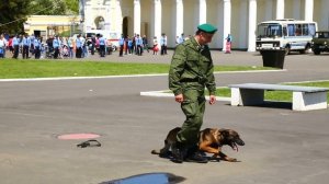 Общие приемы дрессировки служебных собак