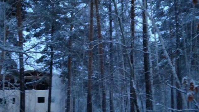 Екатерина Гусева читает произведение "И гроб опущен уж в могилу" Ф.И.Тютчева смотреть онлайн