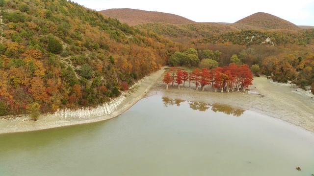 Кипарисовое озеро Сукко. Анапа. Кипарисы покраснели. Ноябрь 2022 смотреть онлайн