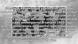 «Полиция стояла и смотрела, как их бьют»: 75 лет назад в США произошло одно из самых массовых рас..