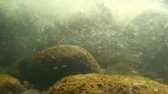 Пороги реки Чулышман. Rapids of Chulyshman River.