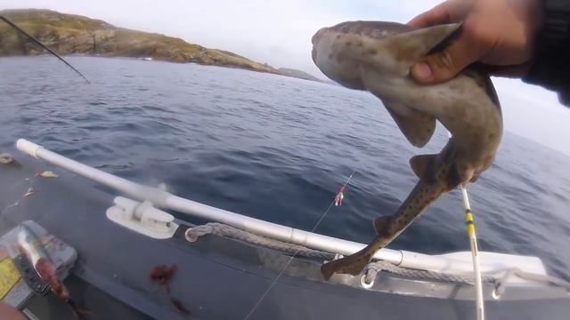 Морская рыбалка поздней осенью с Морским Волком Дядей Дмитрием !!!Рыбалка в Ирландии