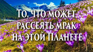 То, что может рассеять мрак на этой Планете