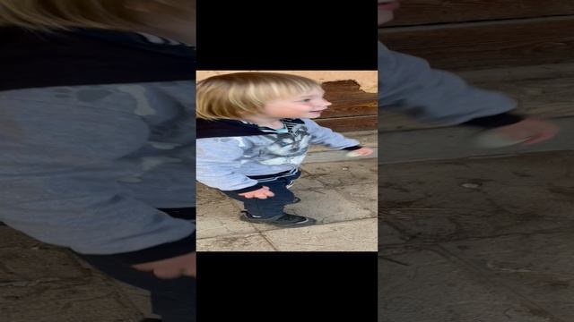 А вы видели голубые куриные яйца??