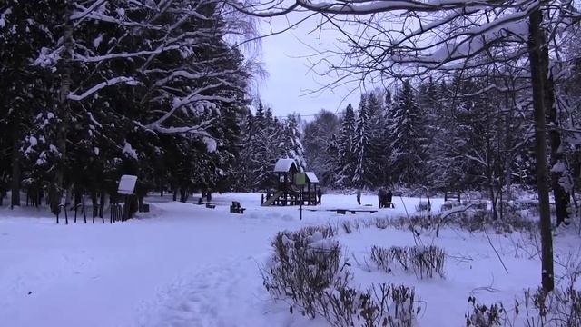 Оценка состояния Окружающей Среды в Зеленограде