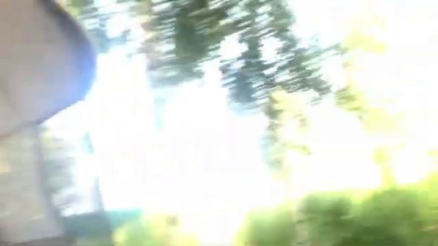 Осиное гнездо на пасеке. смотреть онлайн