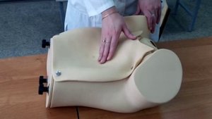 Способы выделения плаценты