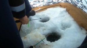 Рыбалка на озере Андреевское 15 января 2023 г.