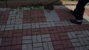 как косится трава триммером с плитки