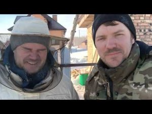 Пчеловодный сезон 2024 открыт! Считаем потери...