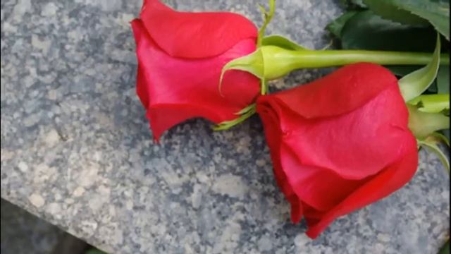 Три обязательных дела которые нужно сделать ДО РАДОНИЦЫ 25 апреля. Молитва на Радоницу.Радоница 202