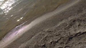 Верхнемакаровское водохранилище. Курганово. Интересные, живописные и загадочные места на Урале.