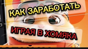 Играй в хомяка и зарабатывай в телеграме на hamster kombat. Получи реальные деньги играя в игру.