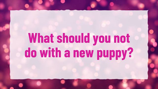 When can you touch a newborn puppy? смотреть онлайн