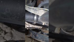 двигатель газ 560 штйер, продажа, ремонт, и обслуживание.