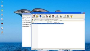 Как активировать WINDOWS XP?
