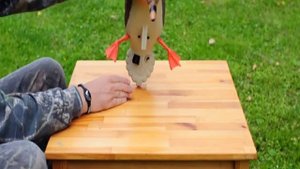 Механическое чучело утки с вращающимися крыльями