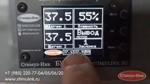 Инкубатор Стимул-500М2-Ф. Первая закладка