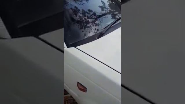 Toyota Starlet 1987 di jual смотреть онлайн