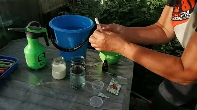 Суперподкормка для томатов в июле! смотреть онлайн
