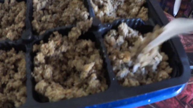 ВЛОГ. НовогодниеШАРЫ/ Посадила лук!/ Приготовила пирожки! С мясом, с рисом и вареньем.