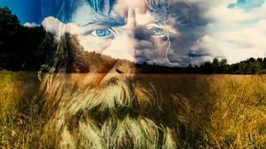 Руины Власовской торфяной теплоэлектростанции. Талдомский район.