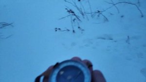 Определение сторон горизонта по полной Луне