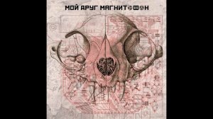 мой друг магнитофон - птицы (Official Audio)