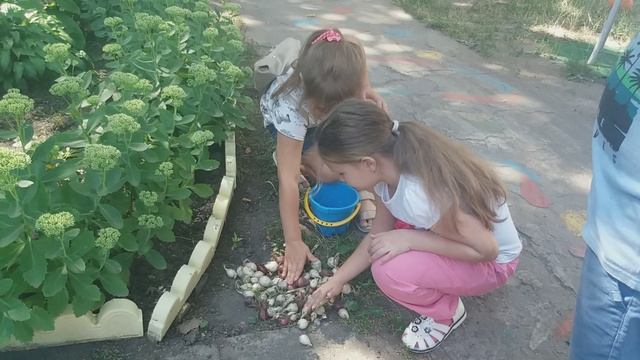 YouCut_20190903_132325801 смотреть онлайн