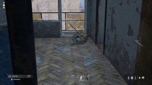 DayZ баги