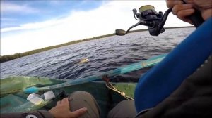 Жерех на виб Tornado Vibe 65. Strike Pro. Asp fishing.