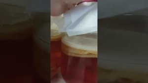 Комбуча. Чайный гриб утонул и лежит на дне.