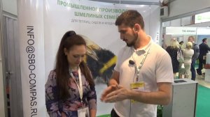 Опыление шмелями томатов и огурцов в тепличных комплексах