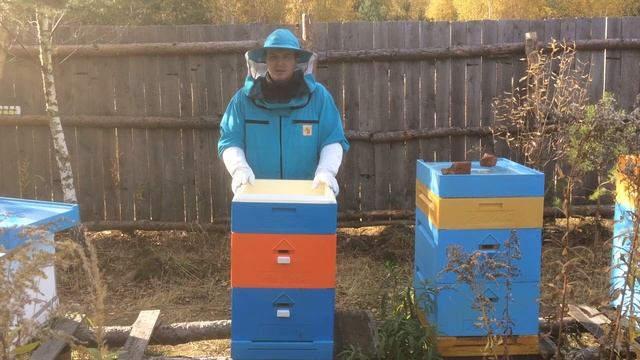Подготовка пчел к зимовке в ульях из ППУ Ру Улей. Кормушка смотреть онлайн