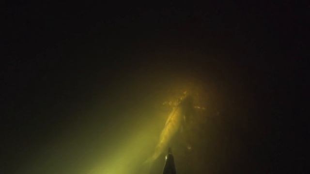 Подводная Охота - Подводные обитатели ночной Волги смотреть онлайн