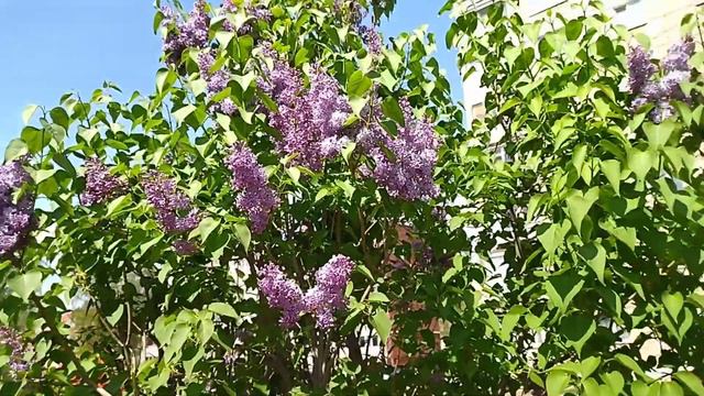 У меня пополнение) Новый яркий процесс🍊 смотреть онлайн